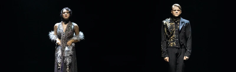 Постер Сильва