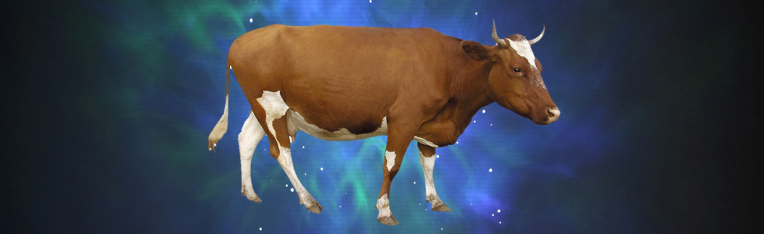 Постер Чудо или как корова спасла театр в Москве