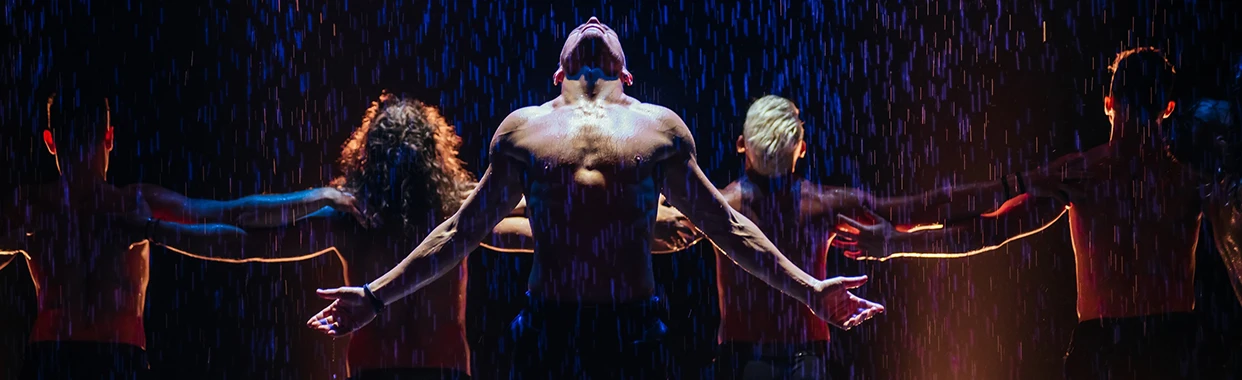 Постер Шоу под дождем в Москве