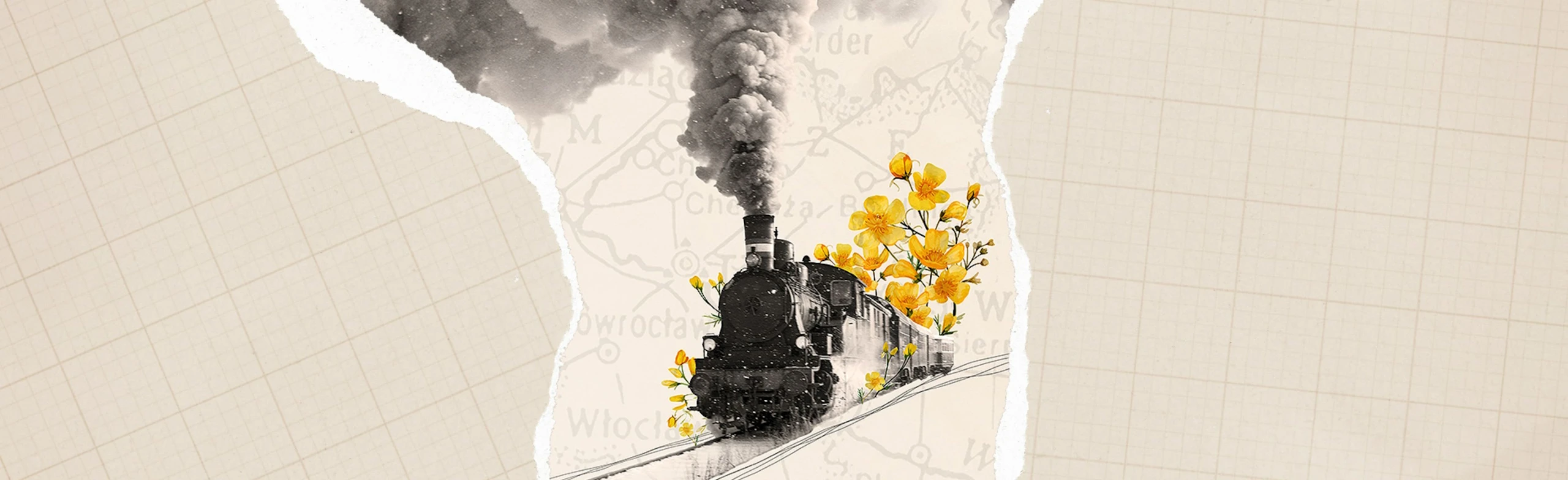 Постер Поезд жизни