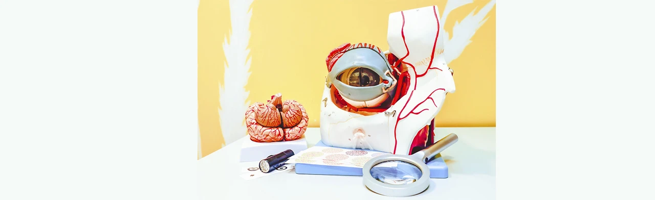 Постер В поле зрения в Москве