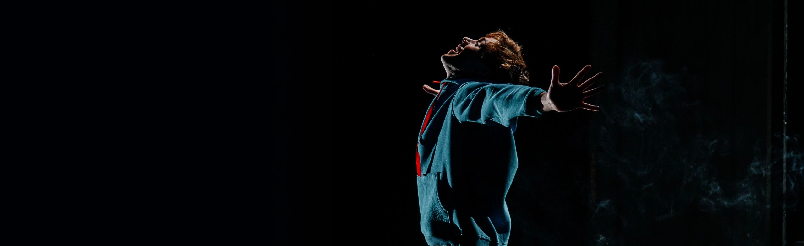 Постер Загадочное ночное убийство собаки в Москве