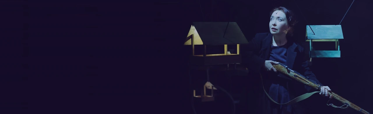 Постер Ястреб