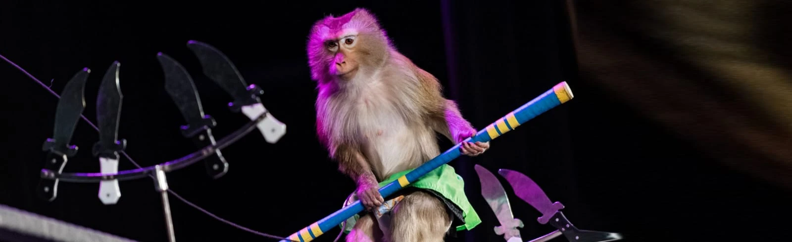 Постер Шоу зверей в Москве