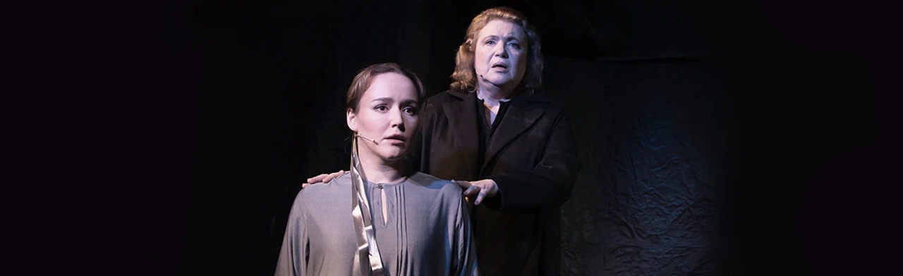 Постер Материнское поле в Москве