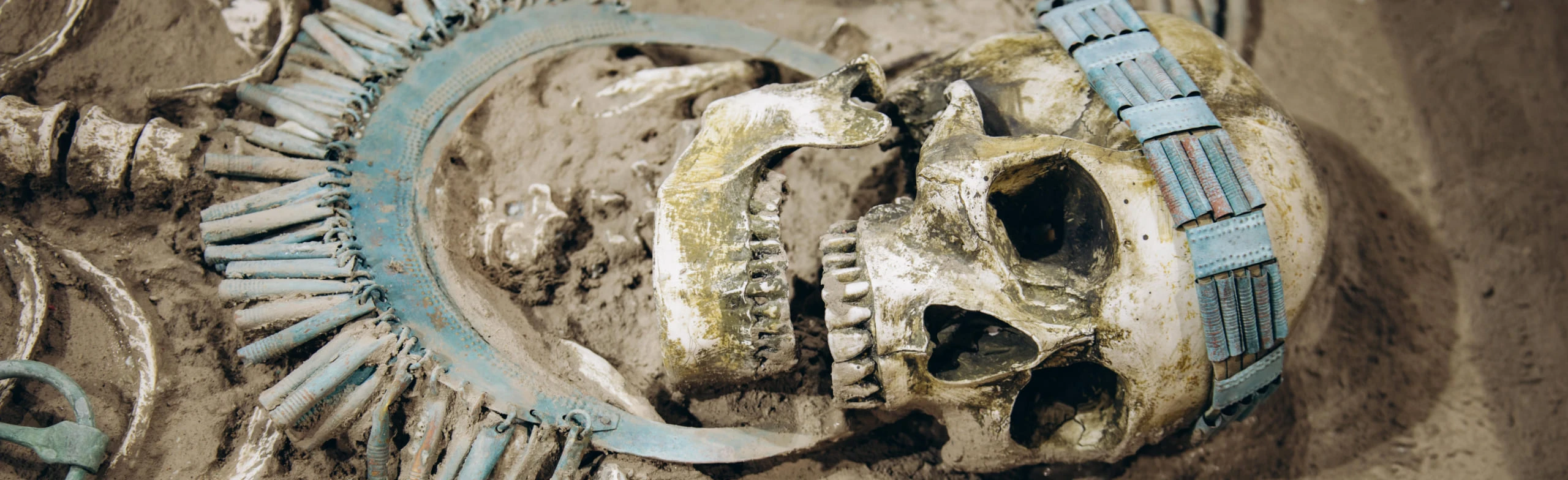 Постер Археология. От раскопа до музея. Программа в Нижнем Новгороде