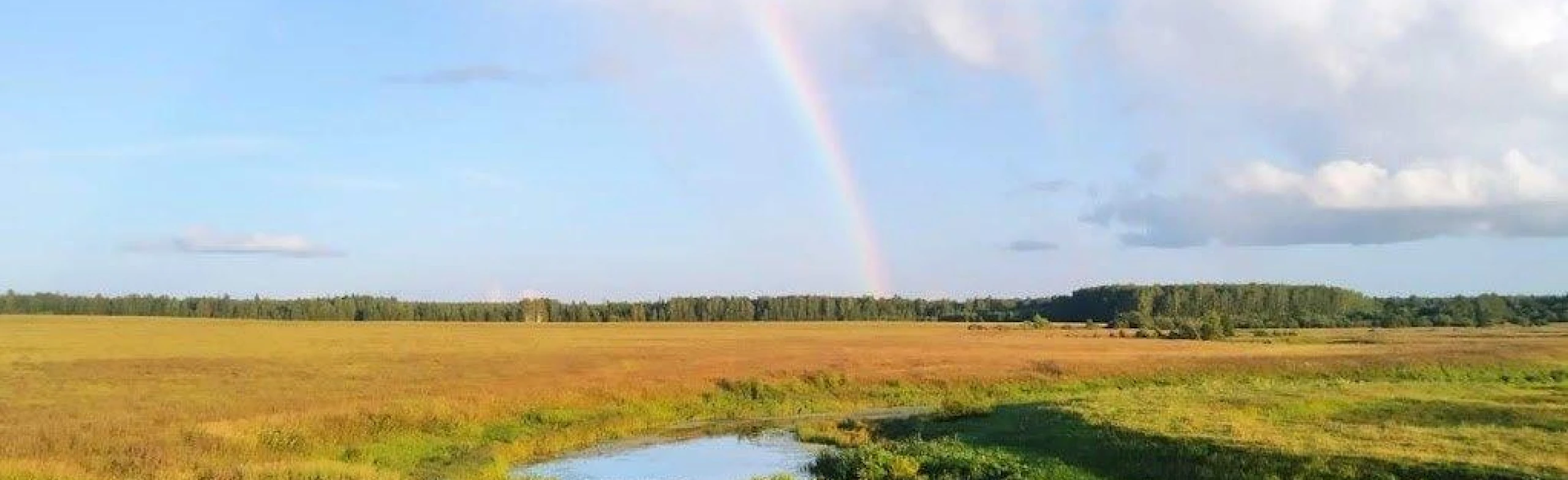 Постер Тропинками родного края. Краеведческая программа