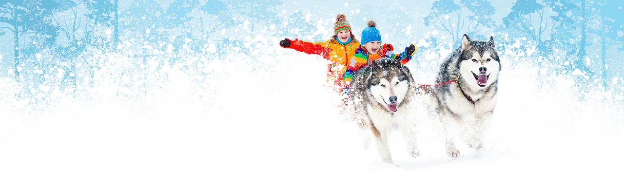 Постер С хаски по дороге в сказку в Нижнем Новгороде