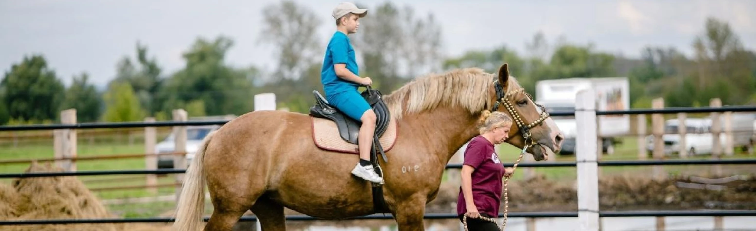 Постер Страницы истории конного завода. Экскурсия в Нижнем Новгороде