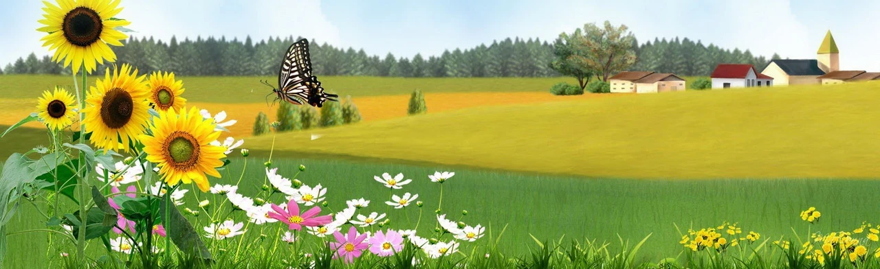 Постер Мир вещей. Обыденный и необычайный в Нижнем Новгороде