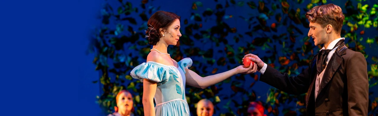 Постер Дубровский. Мюзикл в Нижнем Новгороде