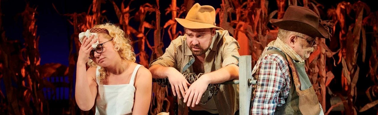 Постер Продавец дождя (театр Горького) в Нижнем Новгороде