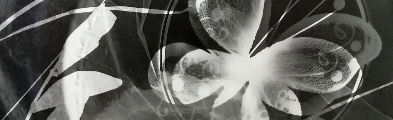 Постер Удивительные фотограммы. Интерактивное занятие