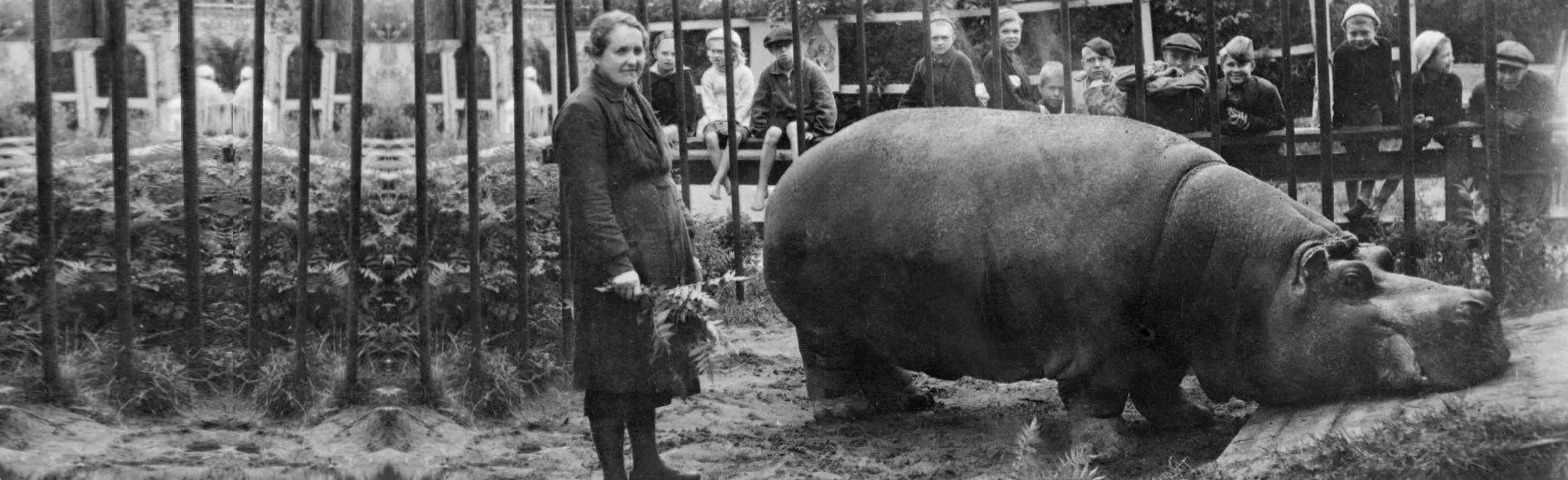 Постер Почему не съели бегемота? Лекция в Нижнем Новгороде