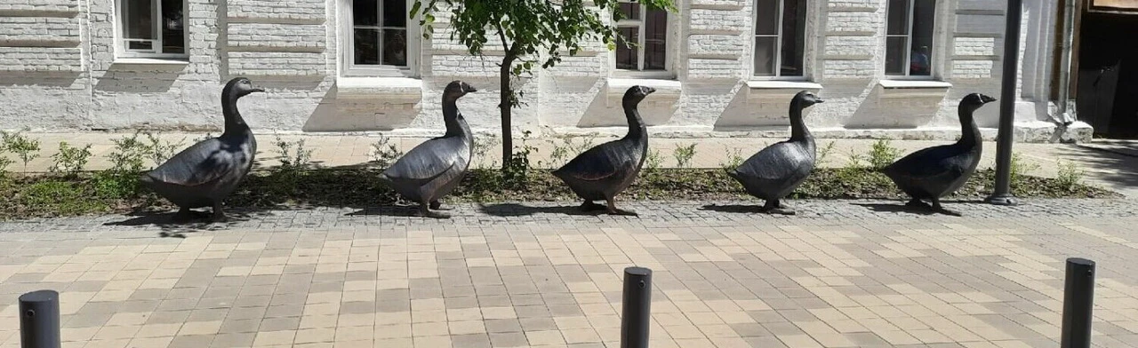 Постер Экскурсия по городу "Дорогой Арзамасского гуся" (для групп от 15 чел.) в Нижнем Новгороде