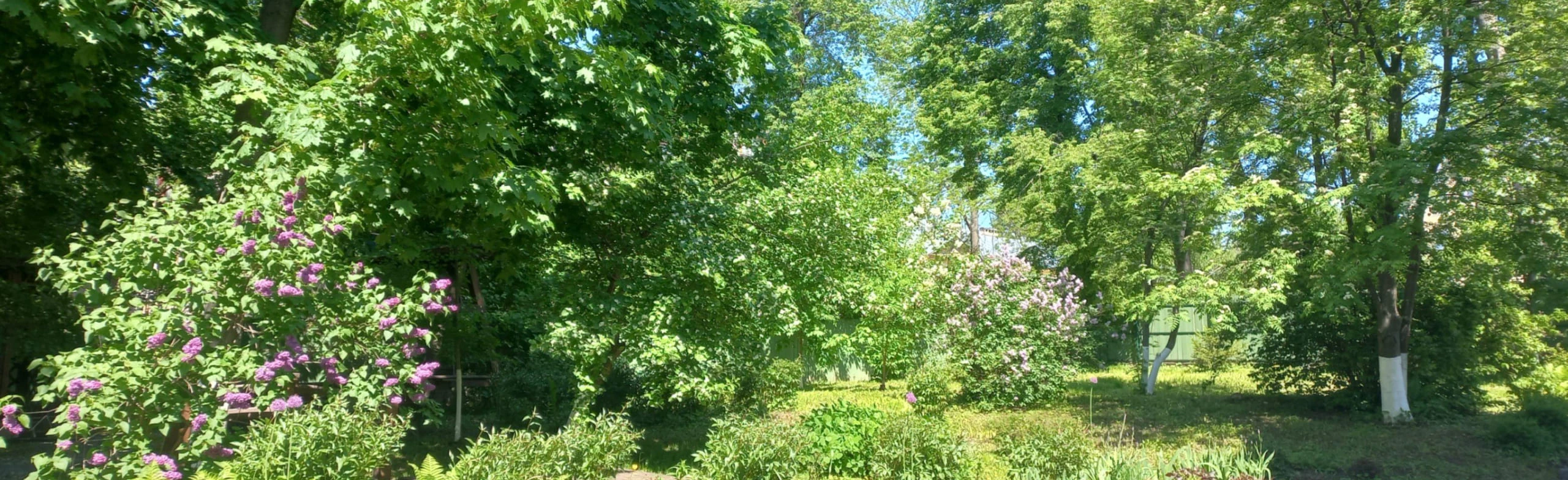 Постер Игры в музейном дворике. Экскурсия в Нижнем Новгороде