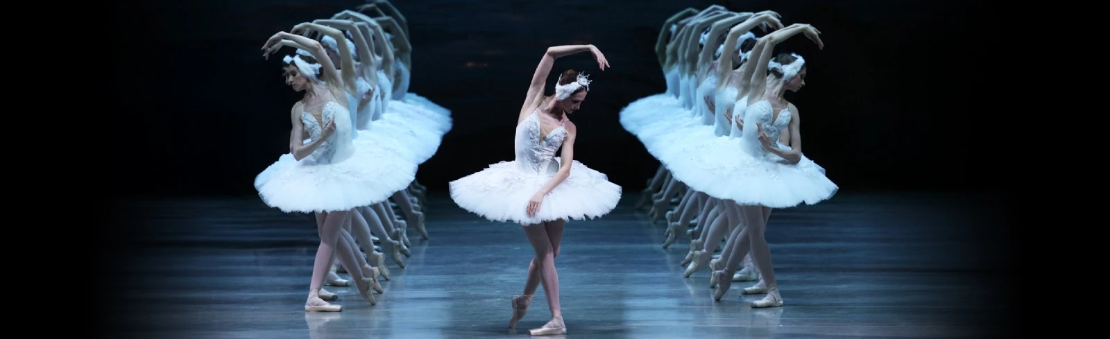 Постер Лебединое озеро