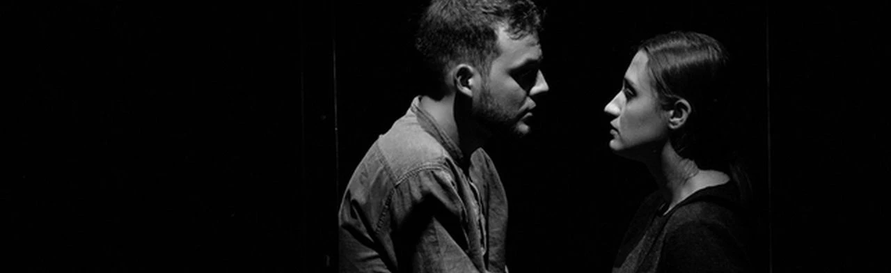 Постер Идиот в Новосибирске