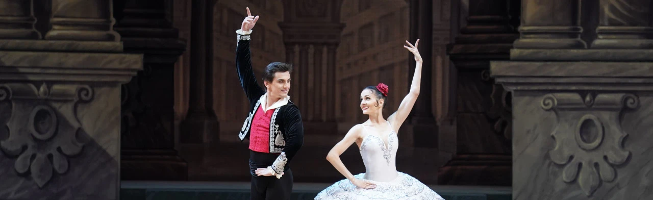 Постер Дон Кихот в Новосибирске