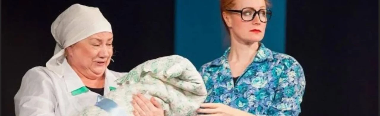 Постер Дом рождения, или дело было в роддоме