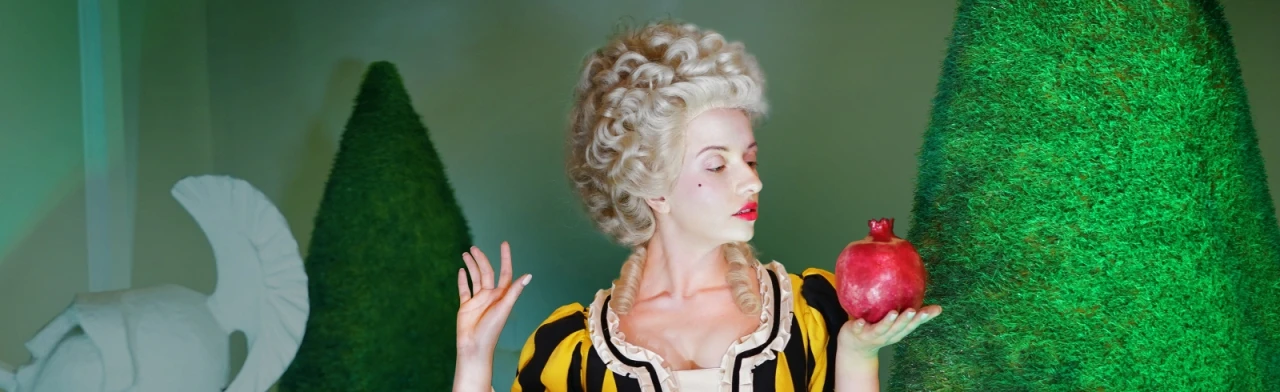 Постер Свадьба Фигаро в Новосибирске