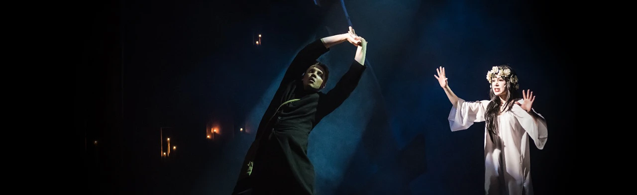 Постер Вий в Новосибирске