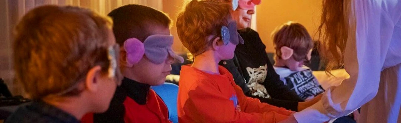 Постер Невидимый слон в Новосибирске