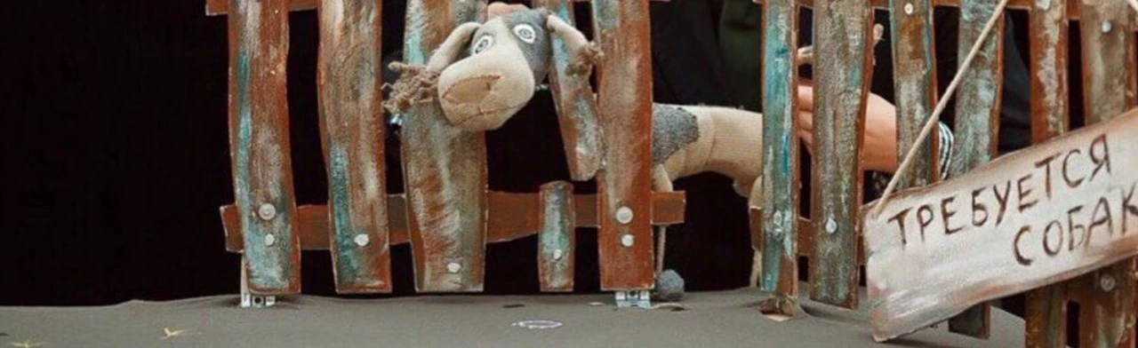 Постер Перепутанная история в Новосибирске