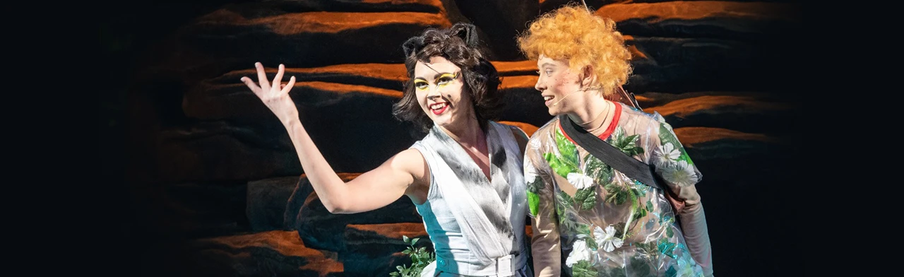 Постер Кошка, которая гуляла сама по себе (НМТ) в Новосибирске