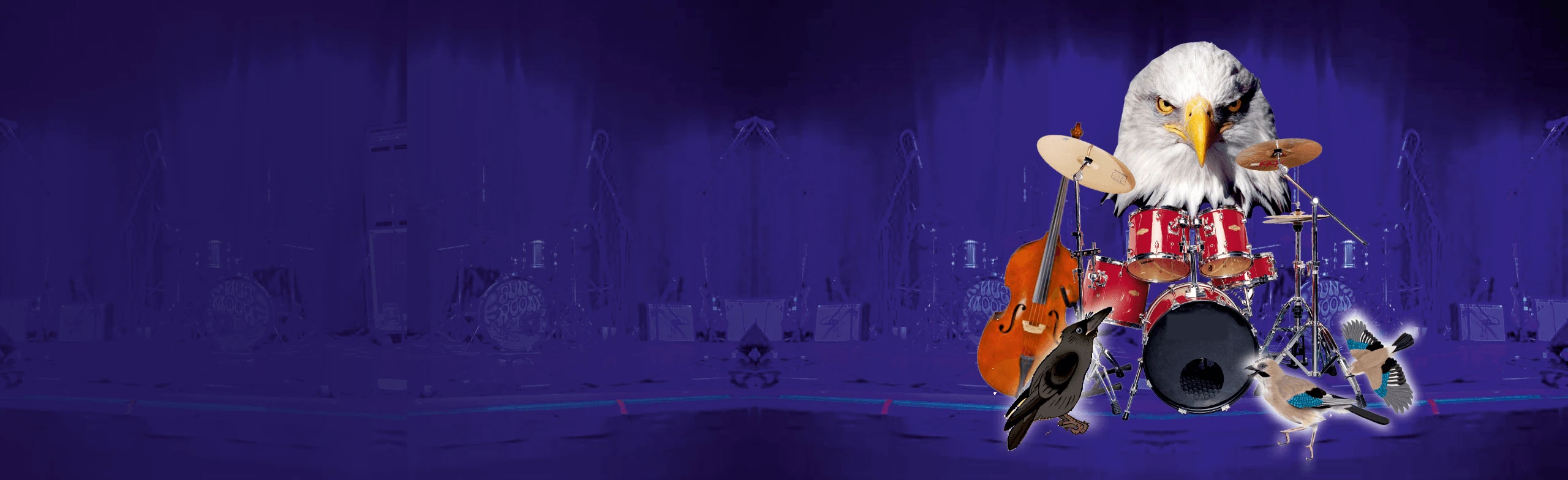 Постер Свадьба соек в Оренбурге