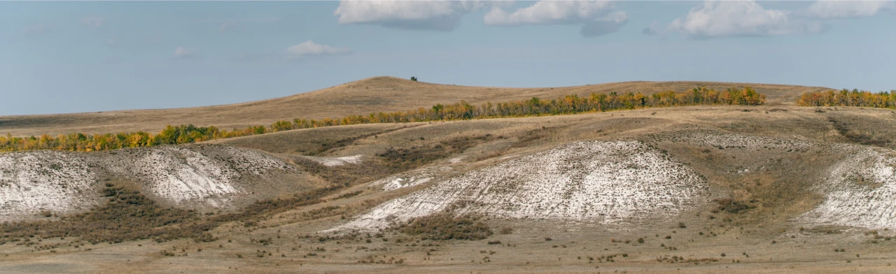 Постер Моё Оренбуржье. Музейное занятие в Оренбурге
