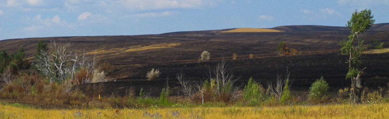 Постер Степные пожары: мифы и реальность. Музейное занятие в Оренбурге