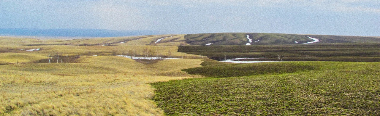Постер Музейное занятие: Влияние пожаров на степные экосистем в Оренбурге