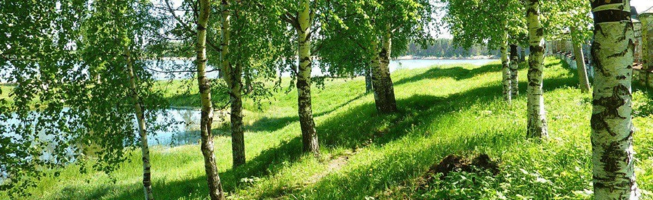 Постер Вот она какая – сторона родная. Интеллектуальная игра