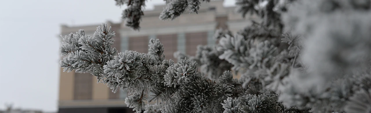 Постер Традиции семейных праздников. Занятие в Орске