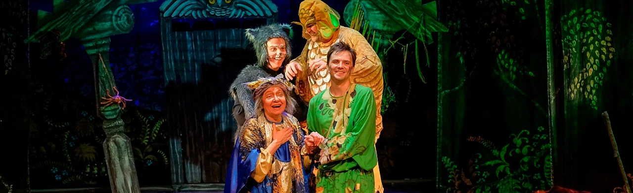 Постер Как Баба-Яга сына женила