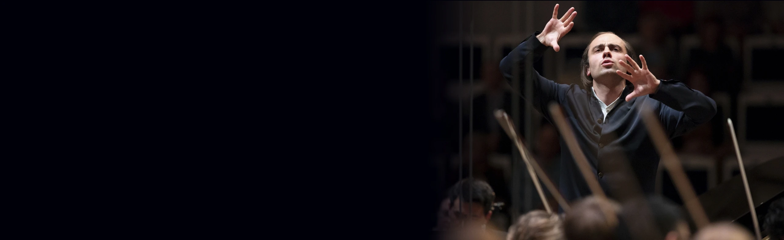 Постер Венский вальс