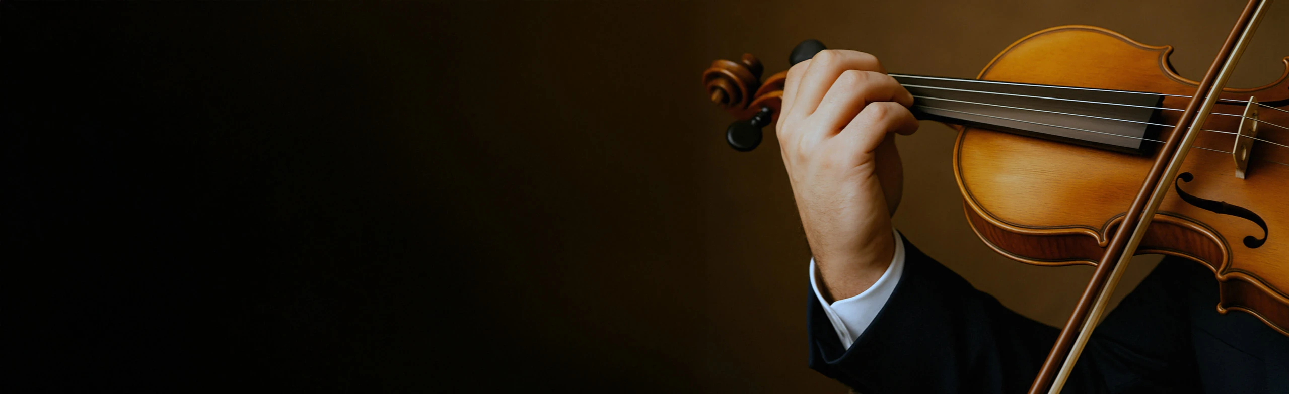 Постер Камерные симфонии