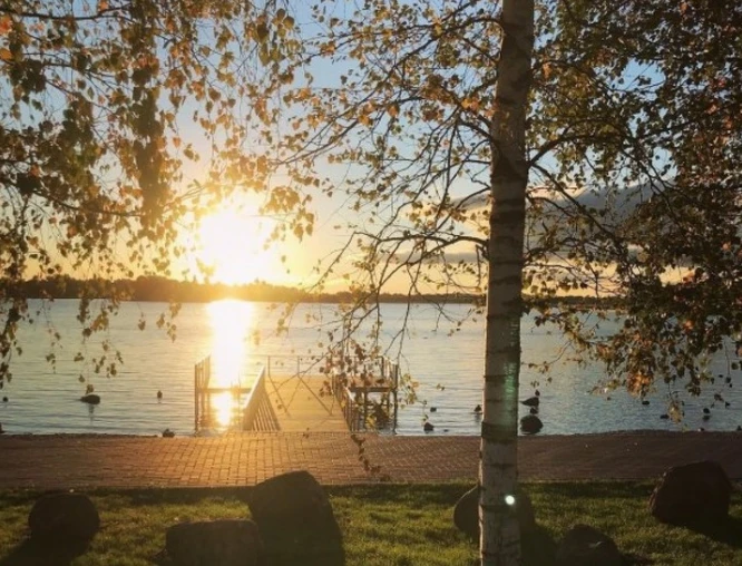 Постер площадки Псковская обл., Палкинский район, рабочий поселок Палкино