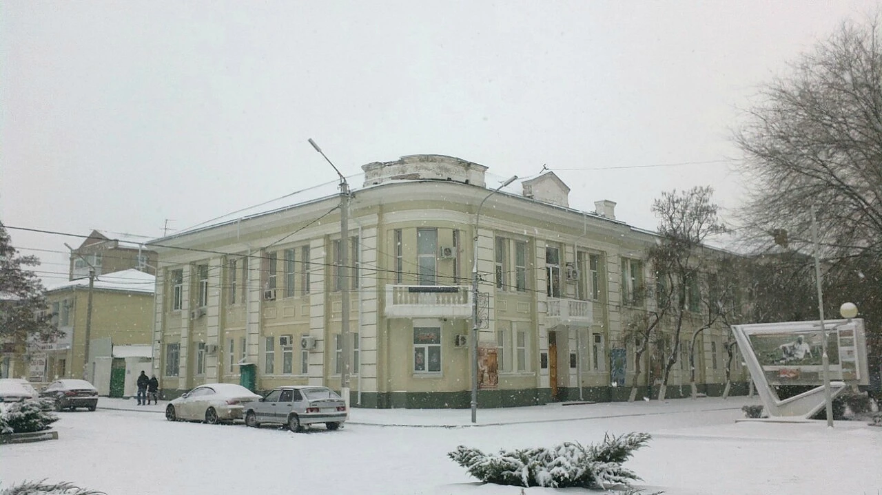 Постер площадки Сальский музей имени народного художника В.К. Нечитайло