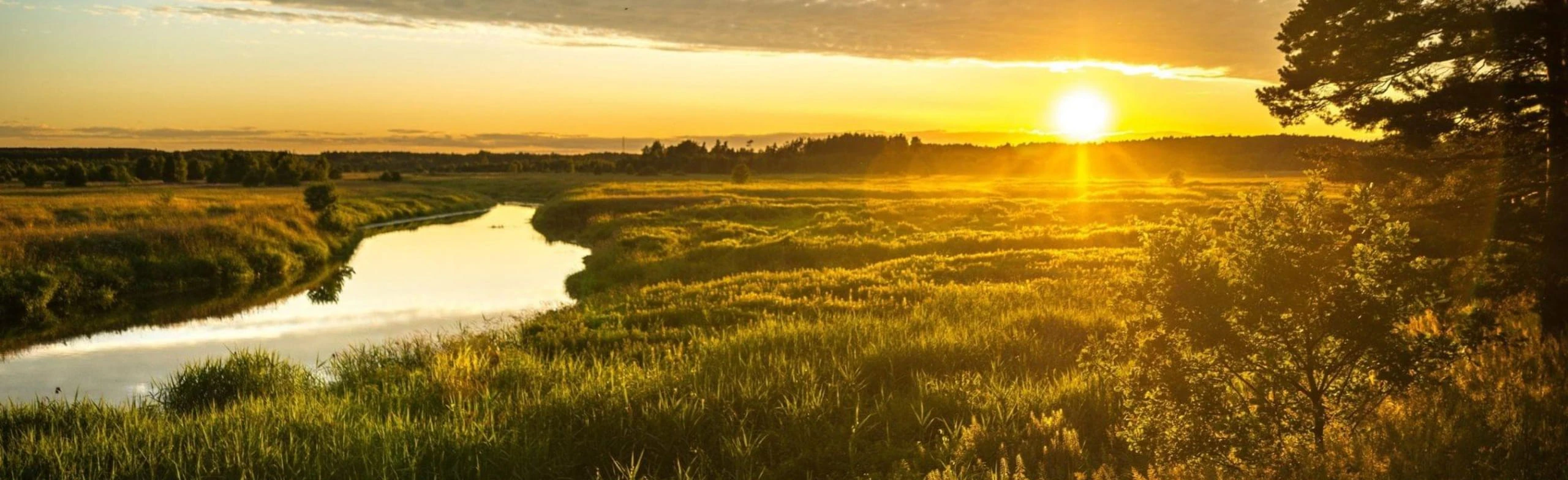 Постер Мой дом, моя Россия, моя земля! Викторина в Ростове-на-Дону