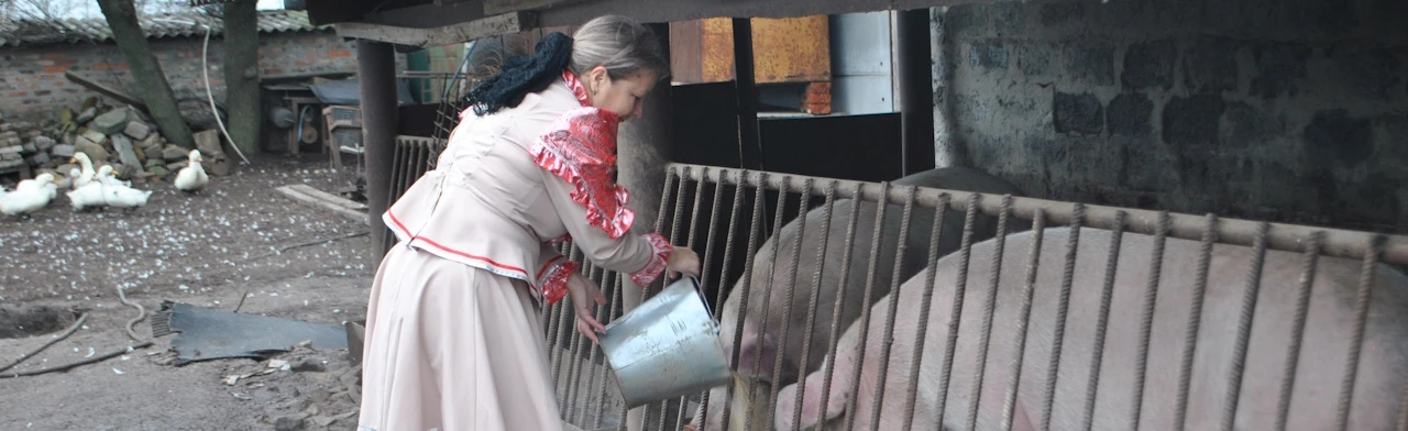 Постер Вот моя деревня в Ростове-на-Дону