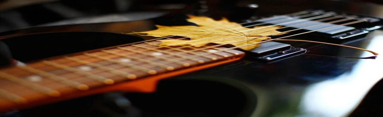 Постер На струнах души