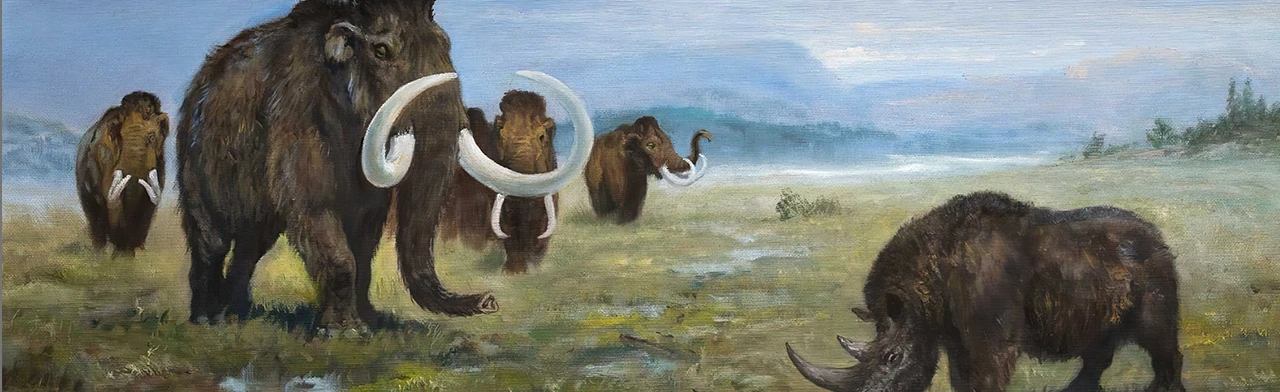 Постер Палеонтология Дона. Выставка в Ростове-на-Дону