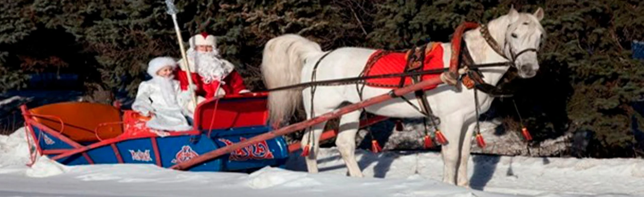 Постер Как на Руси Новый год встречали. Познавательная встреча в Саранске