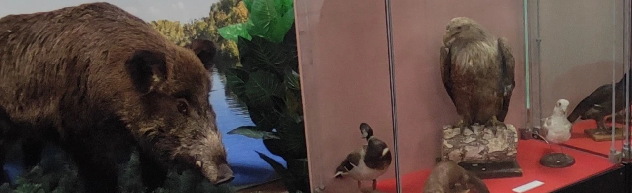 Постер Природная мозайка. Экскурсия в Саратове