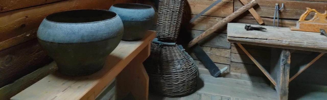 Постер Жизнь семьи Чапаевых. Экскурсия в Саратове