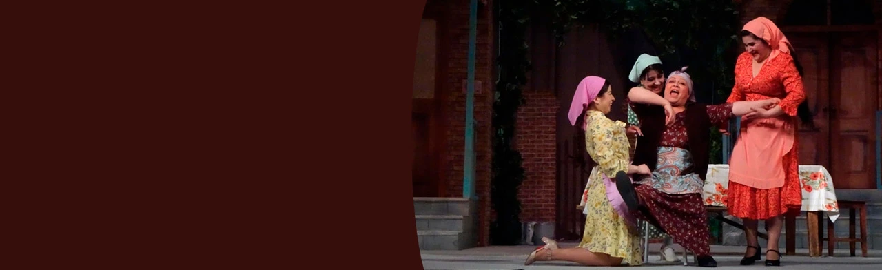 Постер Невестки Зали в Ставрополе