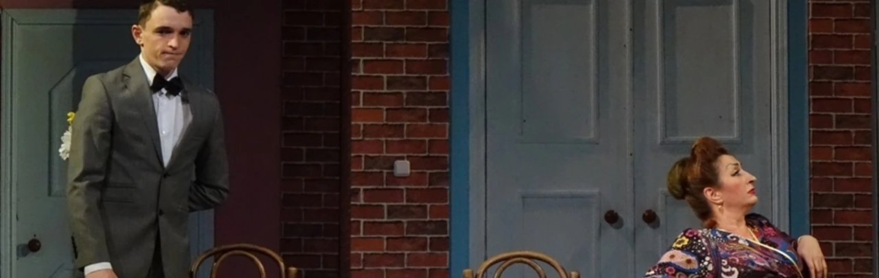 Постер Моя теща