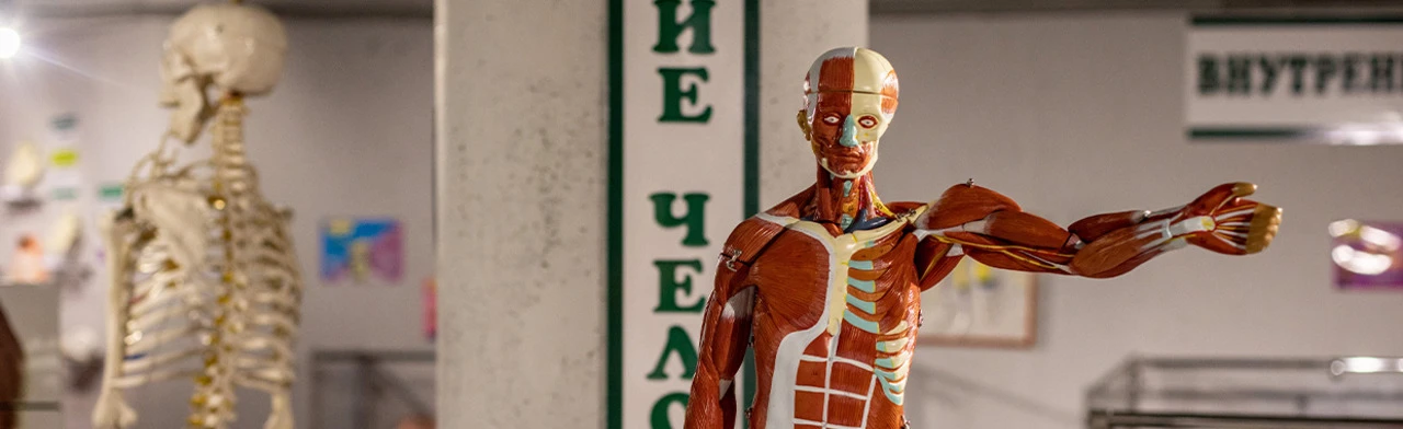 Постер Внутри человека в Сочи